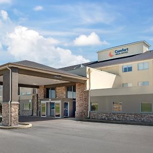 Comfort Inn & Suites Crystal Inn Sportsplex